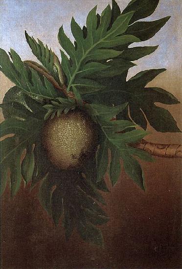 unknow artist Hawaiian Breadfruit, oil on canvas painting by Persis Goodale Thurston Taylor, c. 1890